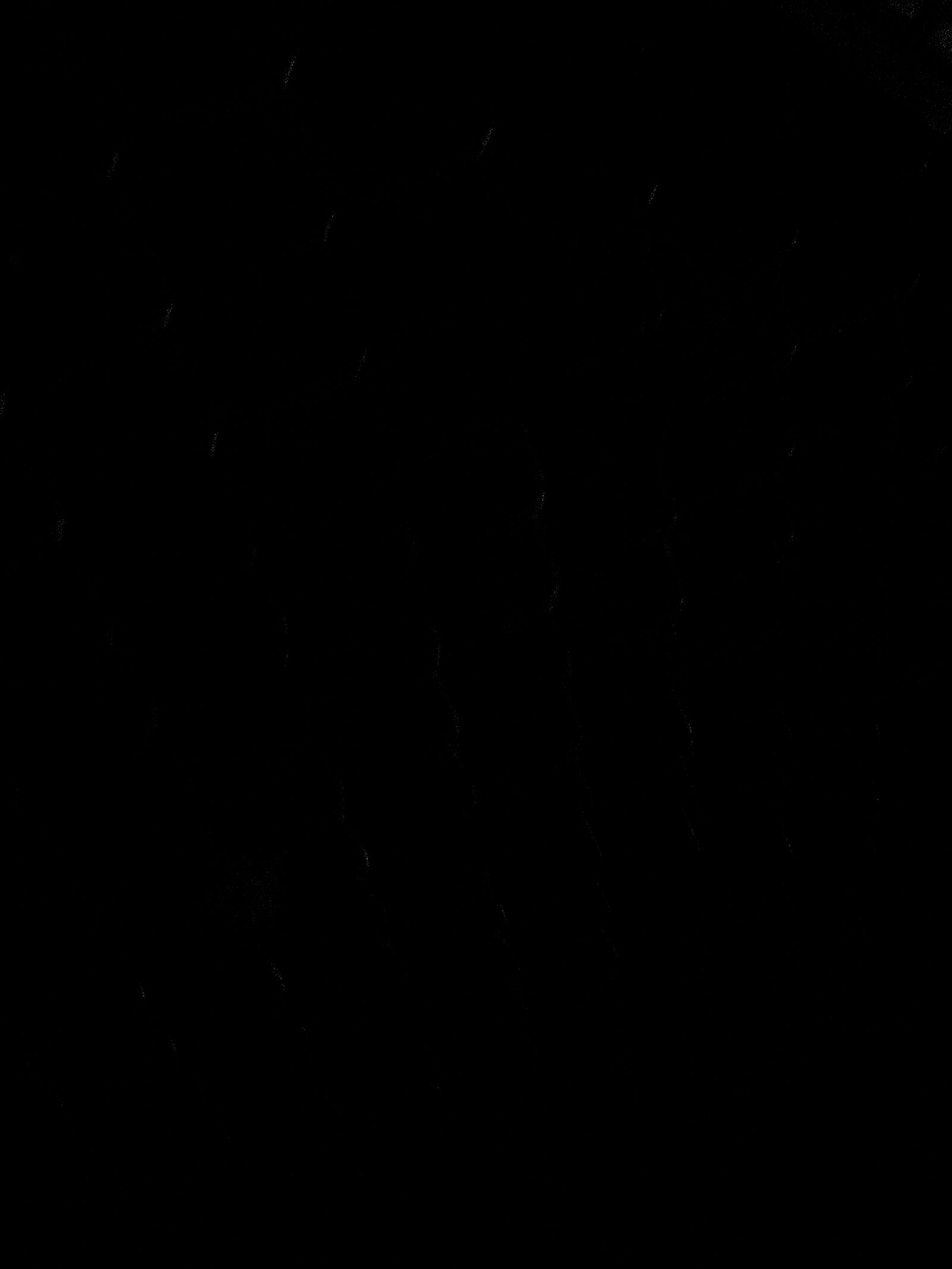 cxxxvi