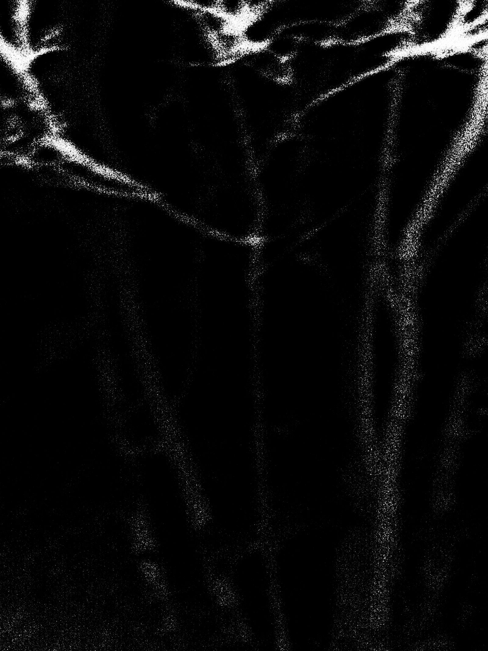 cxxxvii