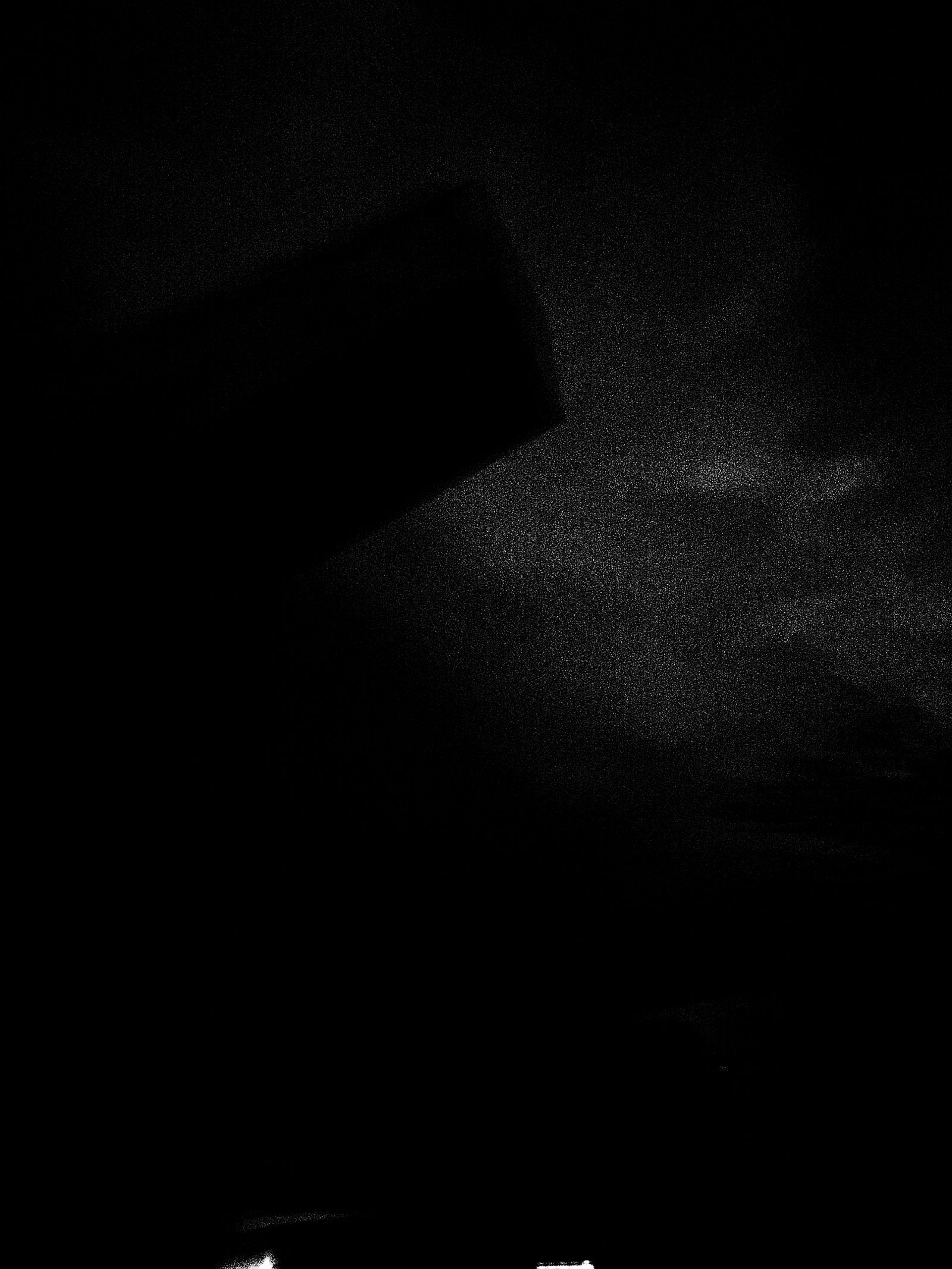 cxxxix