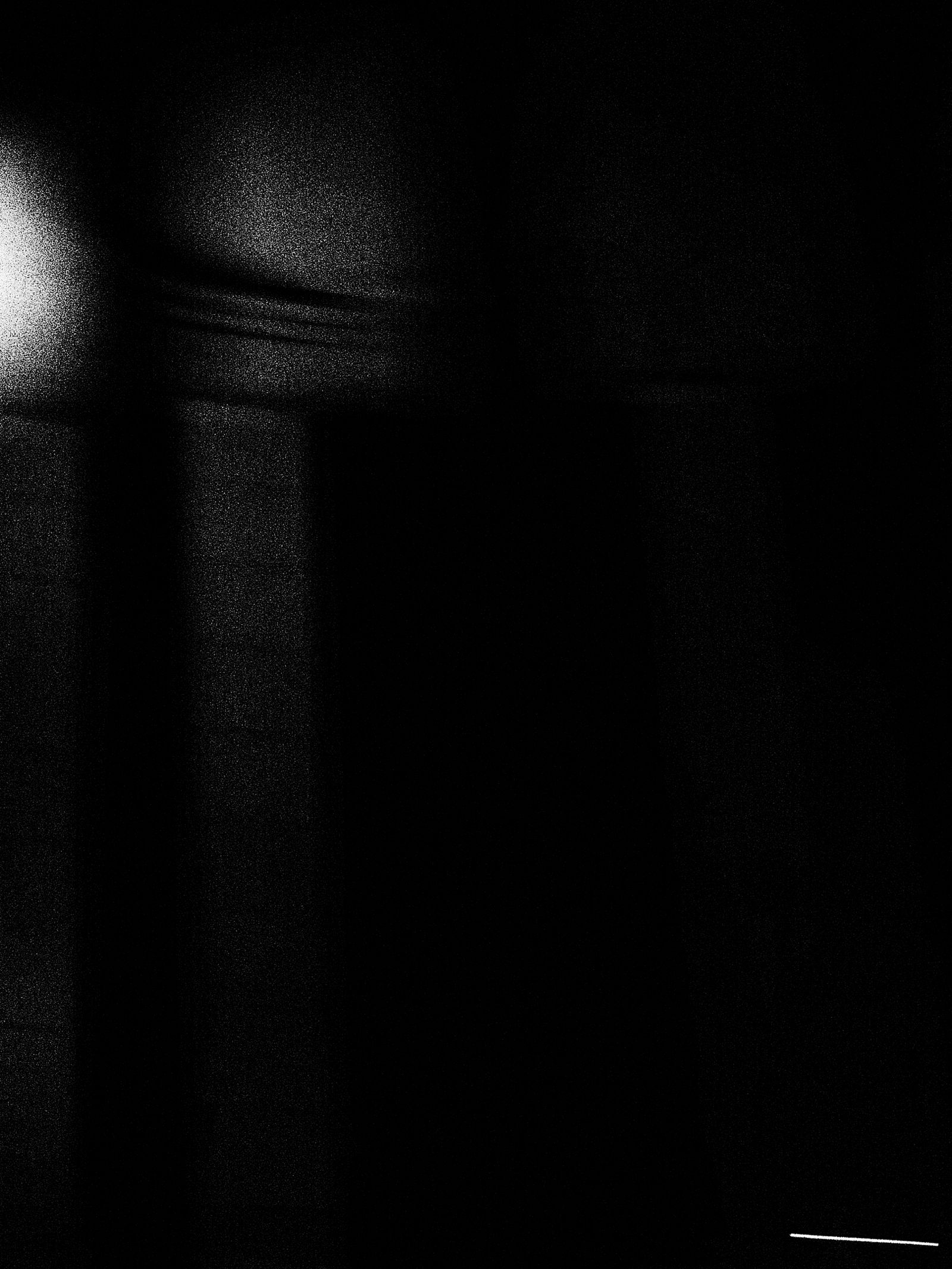 ccviii