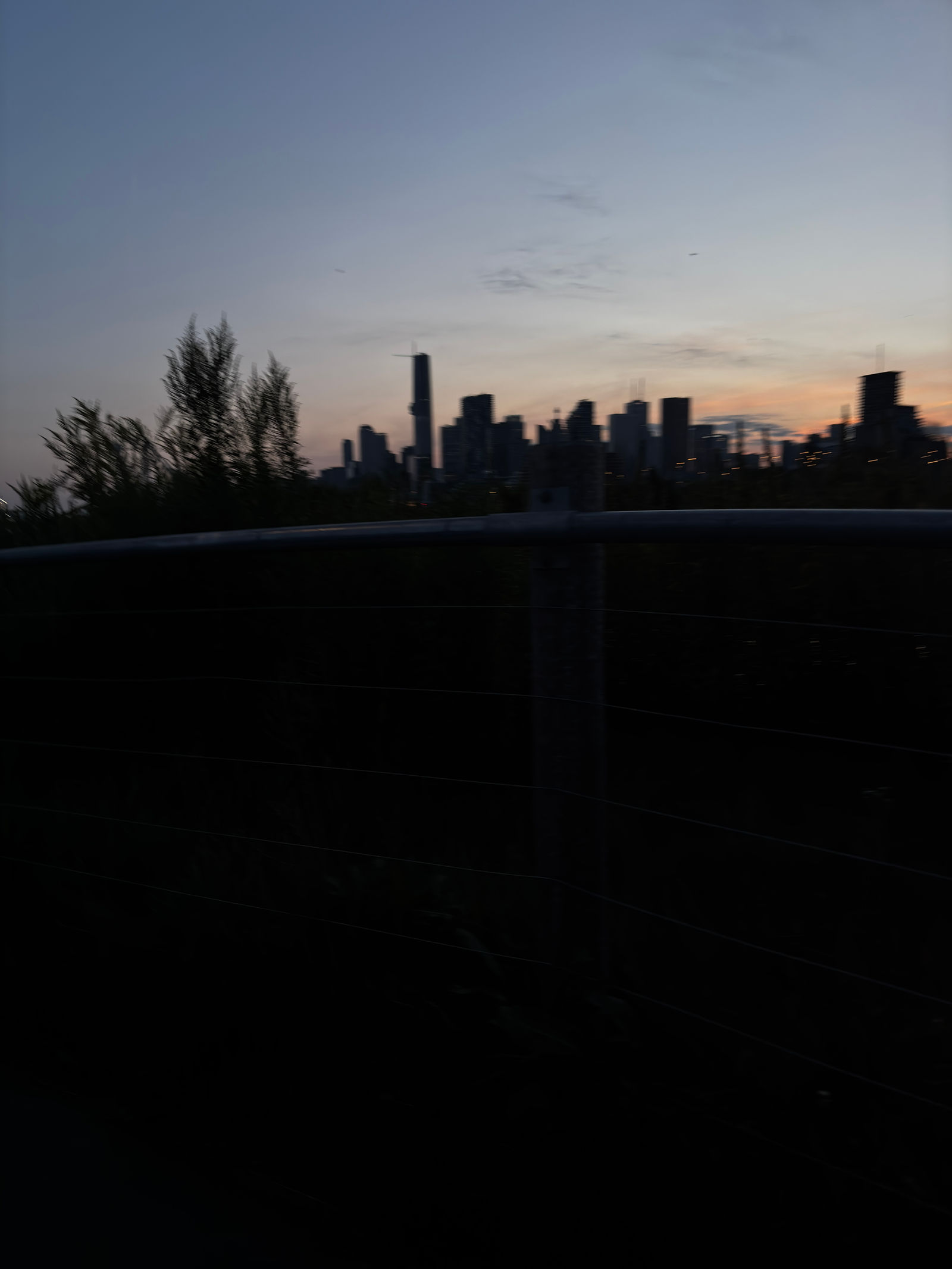xxi