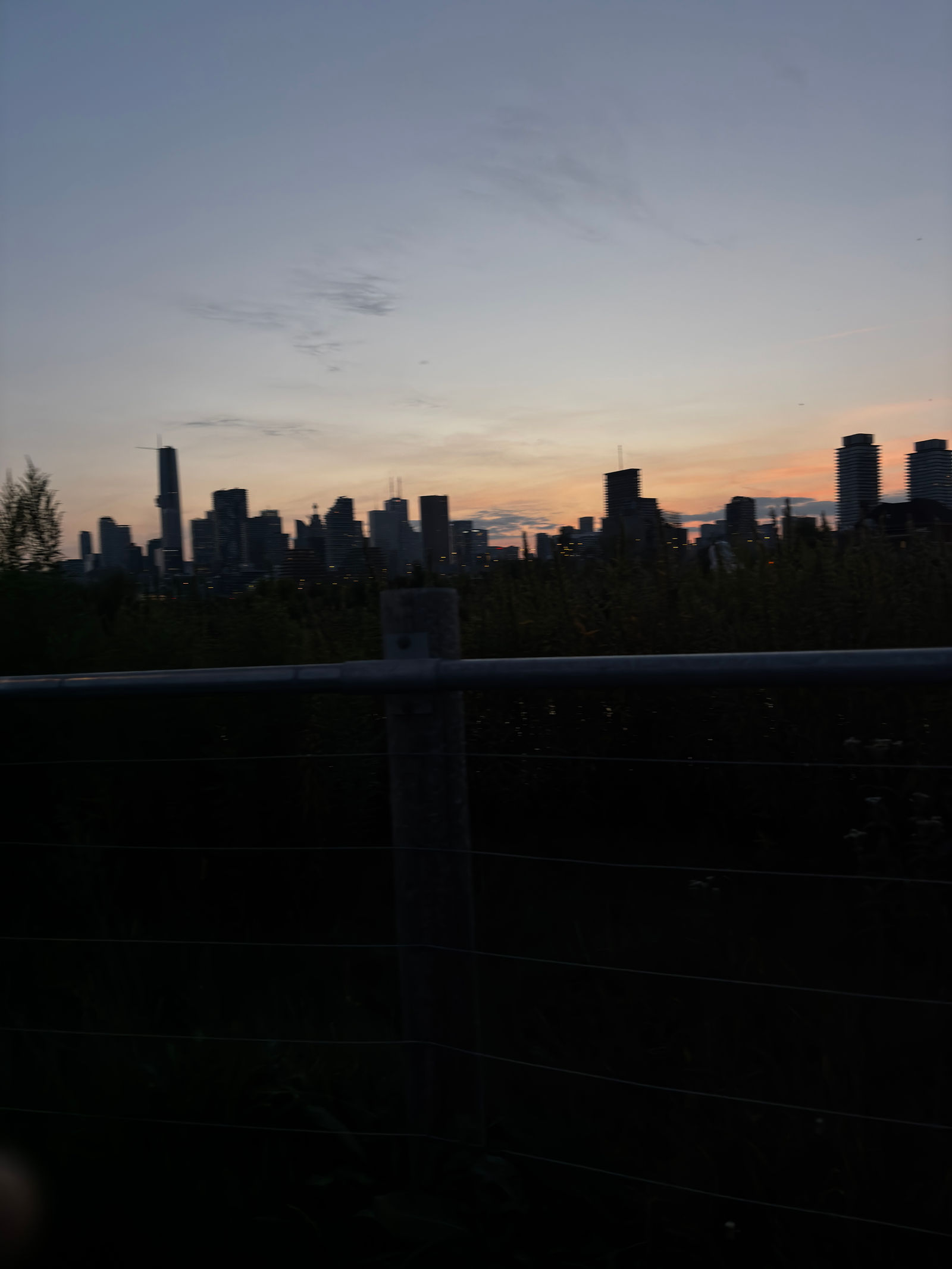 xxiii
