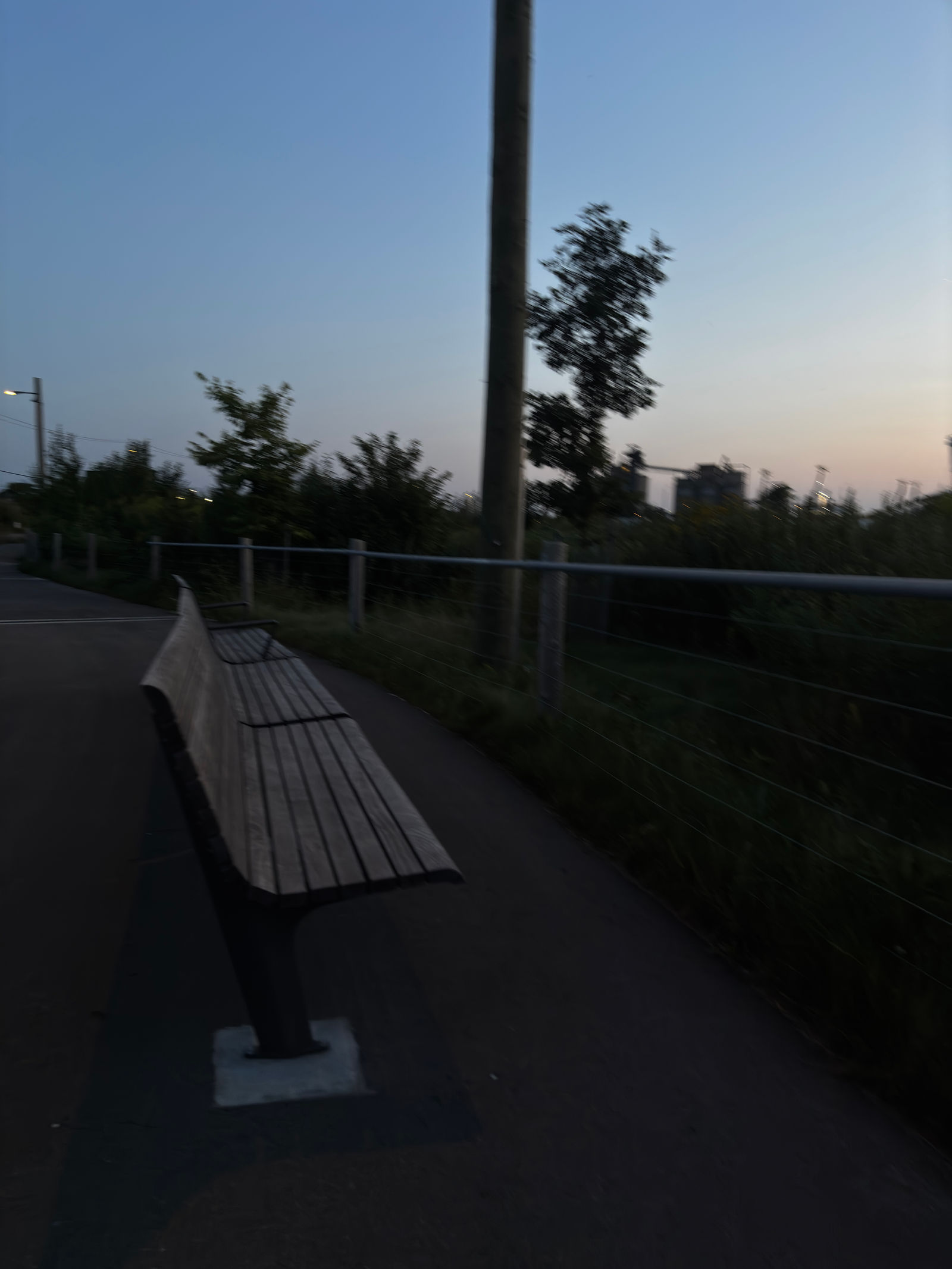 xxv