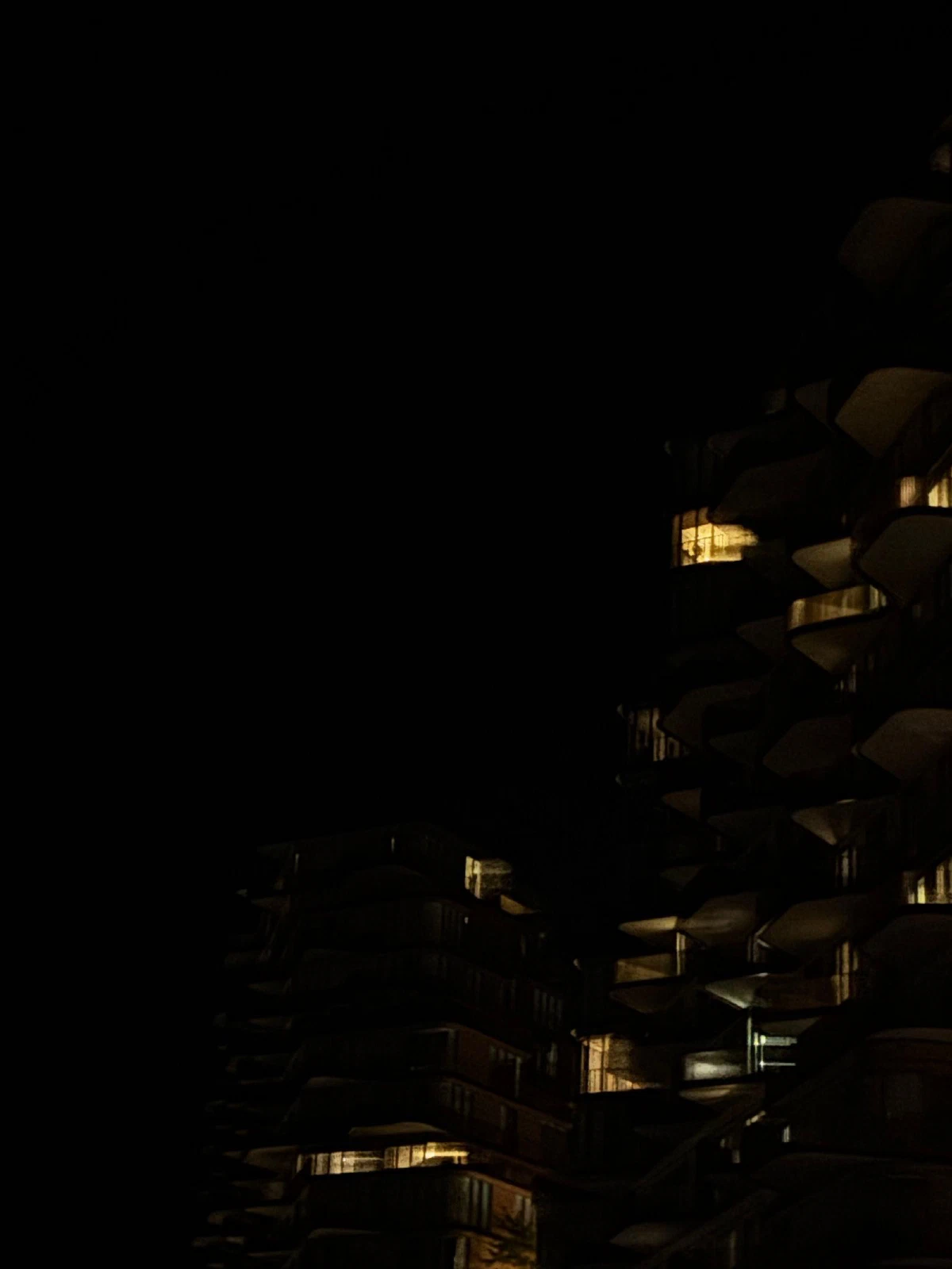 xxxi, photograph